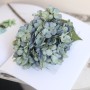 Hortensia (Hydrangea) klein - groen/blauw