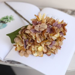 Hortensia (Hydrangea) klein - bruin/geel