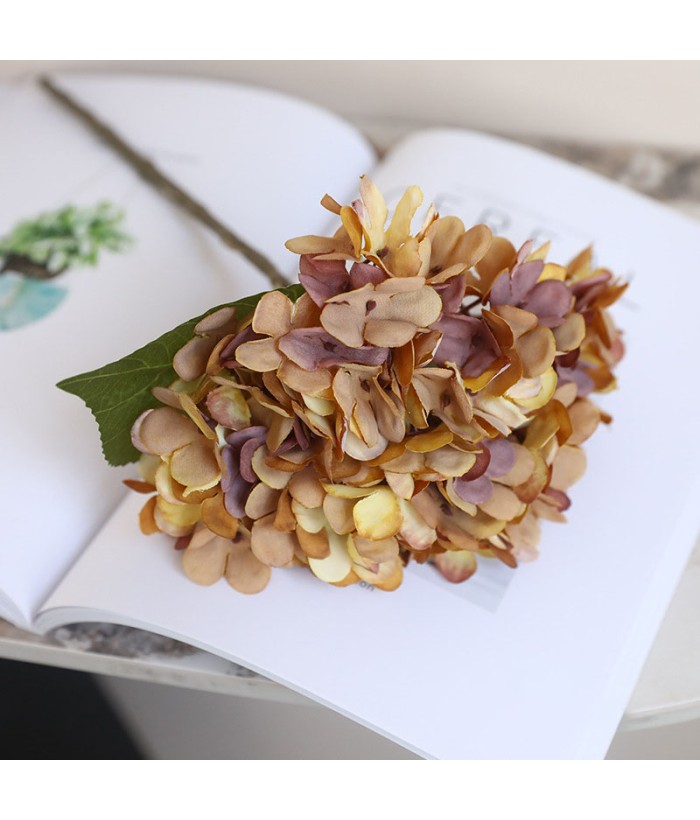 Hortensia (Hydrangea) klein - bruin/geel