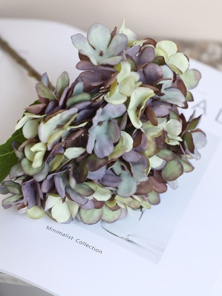 Hortensia (Hydrangea) klein - paars/groen