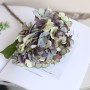 Hortensia (Hydrangea) klein - paars/groen