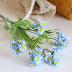 Kamille - blauw