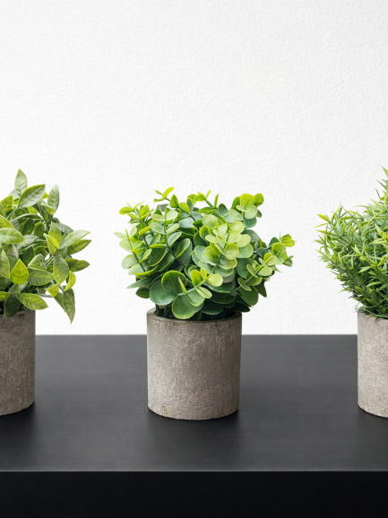 Groene Harmonie – Set van 3 Kunstplanten 22 cm