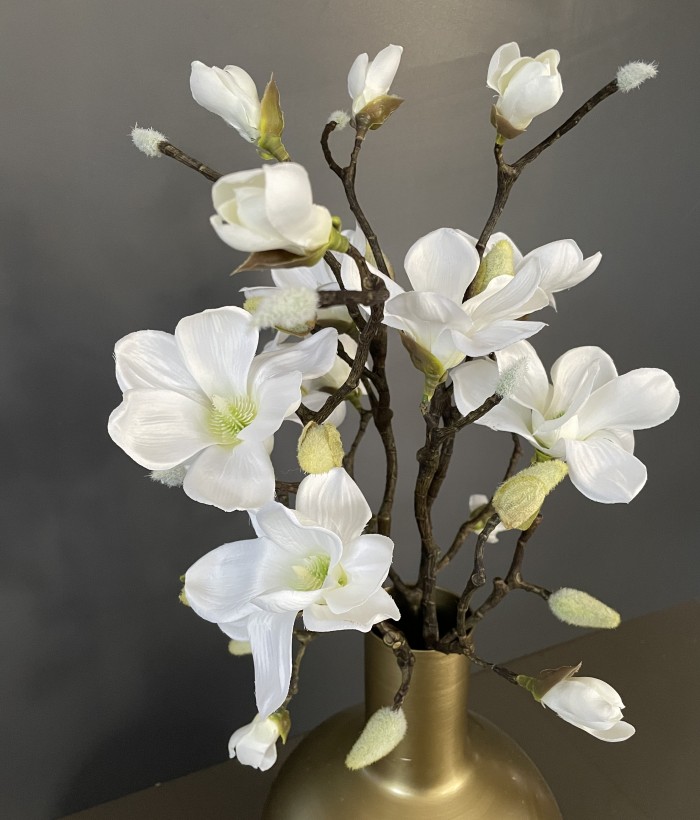 Mooie Magnolia Wit