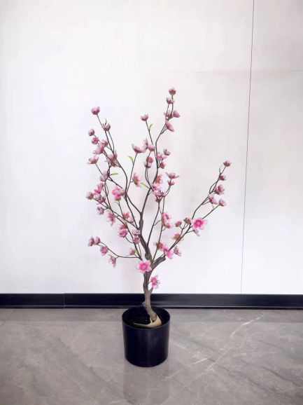 Sakura Bloesem Boompje 80 cm – Roze 