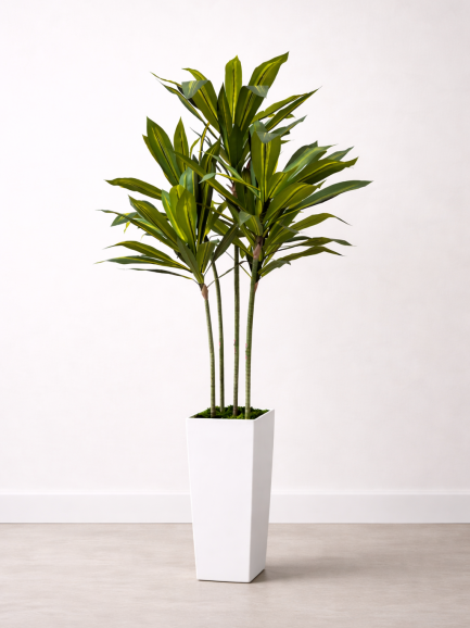 Kunstplant Dracaena Deluxe 150 cm in Witte Pot