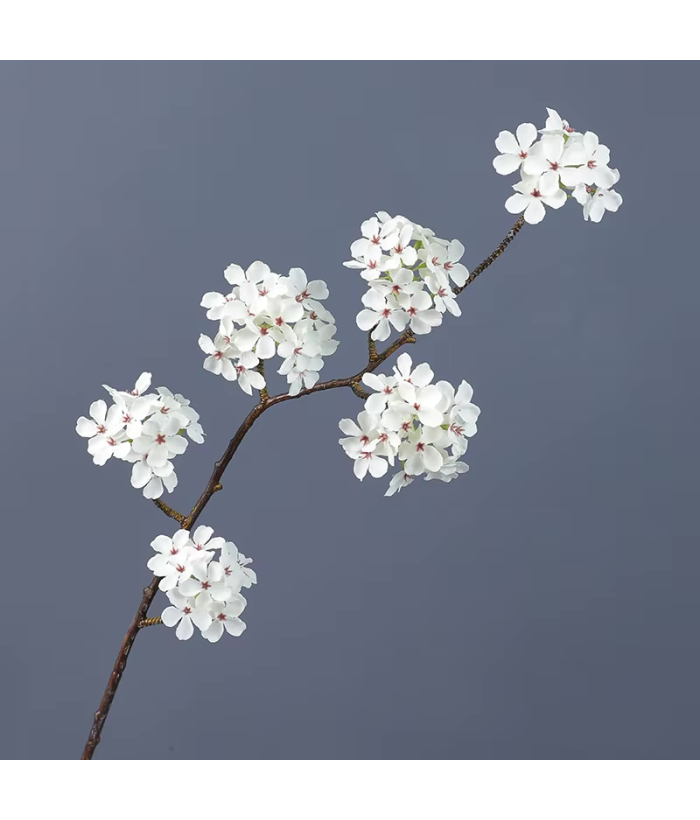 Witte Perenbloesemtak