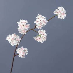 Lichtroze Perenbloesemtak