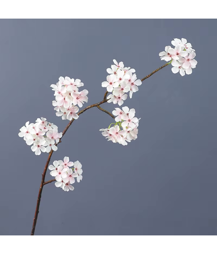 Lichtroze Perenbloesemtak