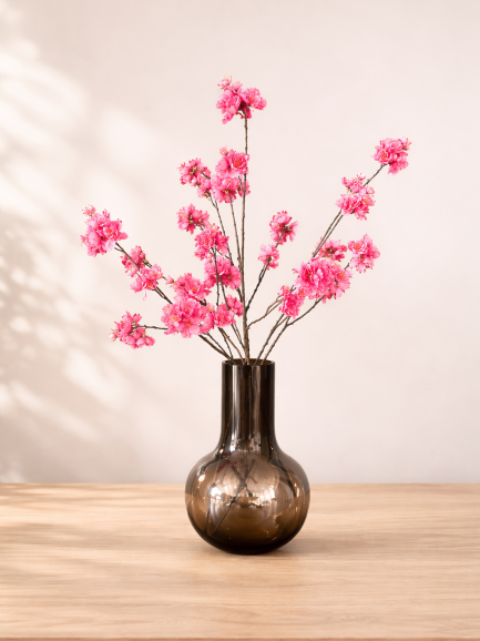 Roze Begonia Bloesemtak