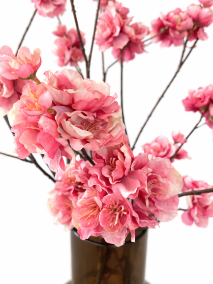 Begonia bloesemtak oudroze