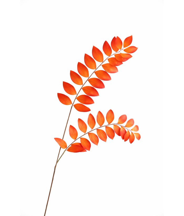 Salomonszegel Oranje Zijde