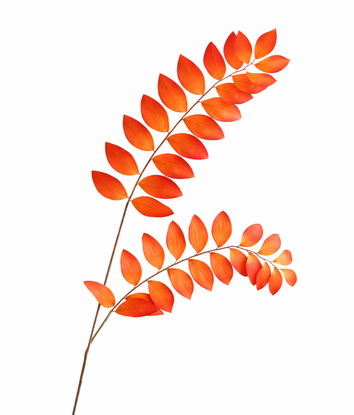 Salomonszegel oranje zijde hangend blad 110 cm