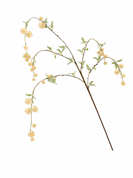 Wilde hangende bloesemtak beige