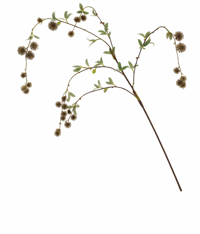 Wilde hangende bloesemtak donkergroen van kunststof