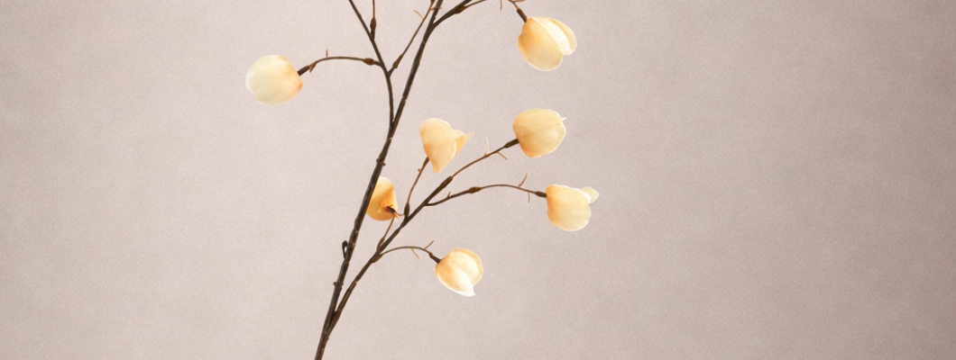 Kunstplanten kantoorinrichting: zo style je zijden orchideeën en groen op de werkvloer