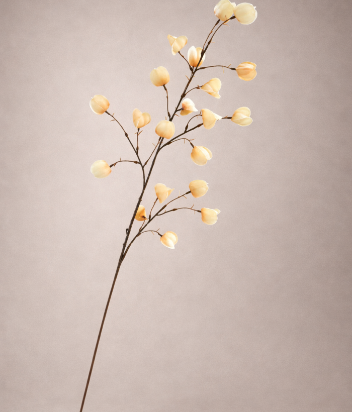 Zijden Lampionplant in champagnekleur van 99 cm