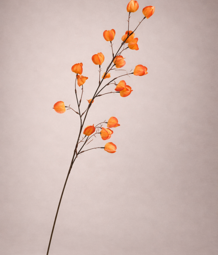 Oranje lampionplant van zijde, 99 cm hoog