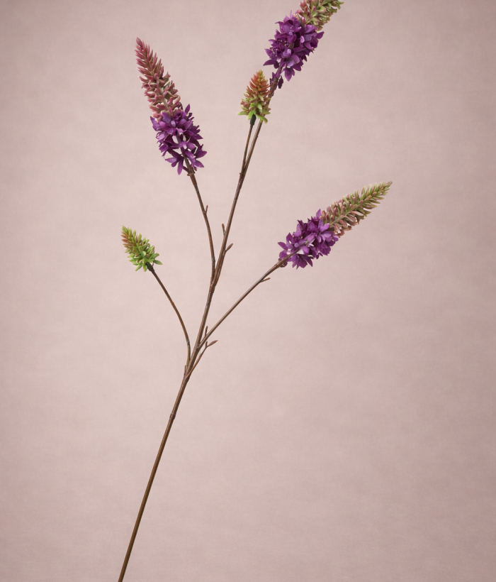 Paars Vuurpijl zijden bloem plant van 75 cm hoog