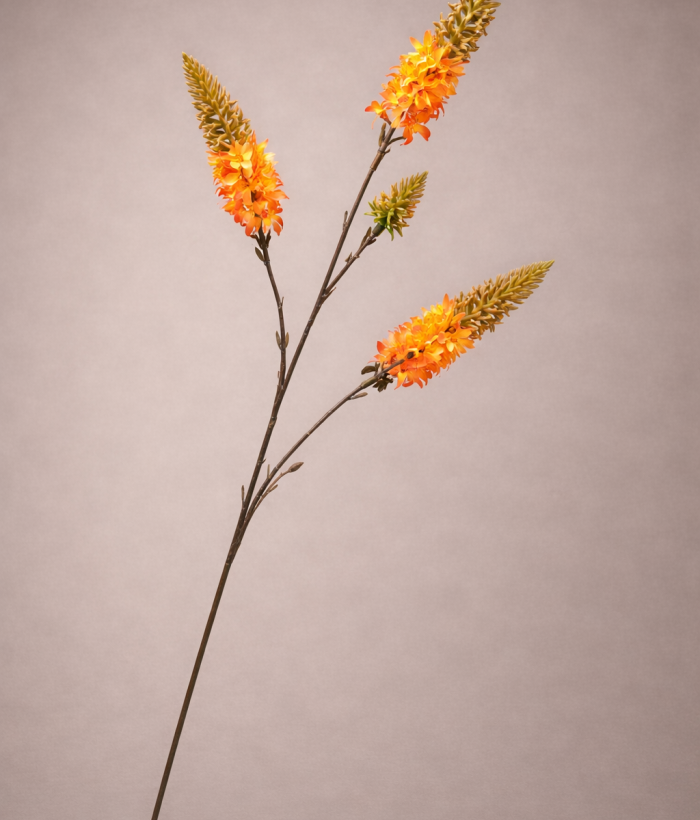 Oranje zijden vuurpijl Kniphofia bloem 75 cm