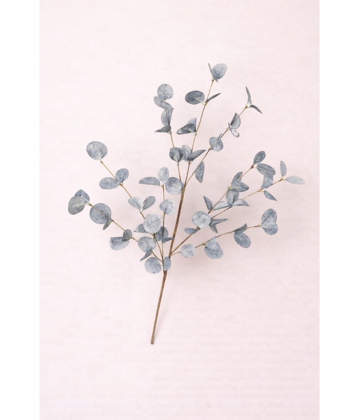 Eucalyptus Tak blauw