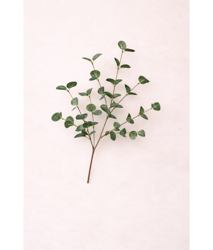 Eucalyptus Tak Groen