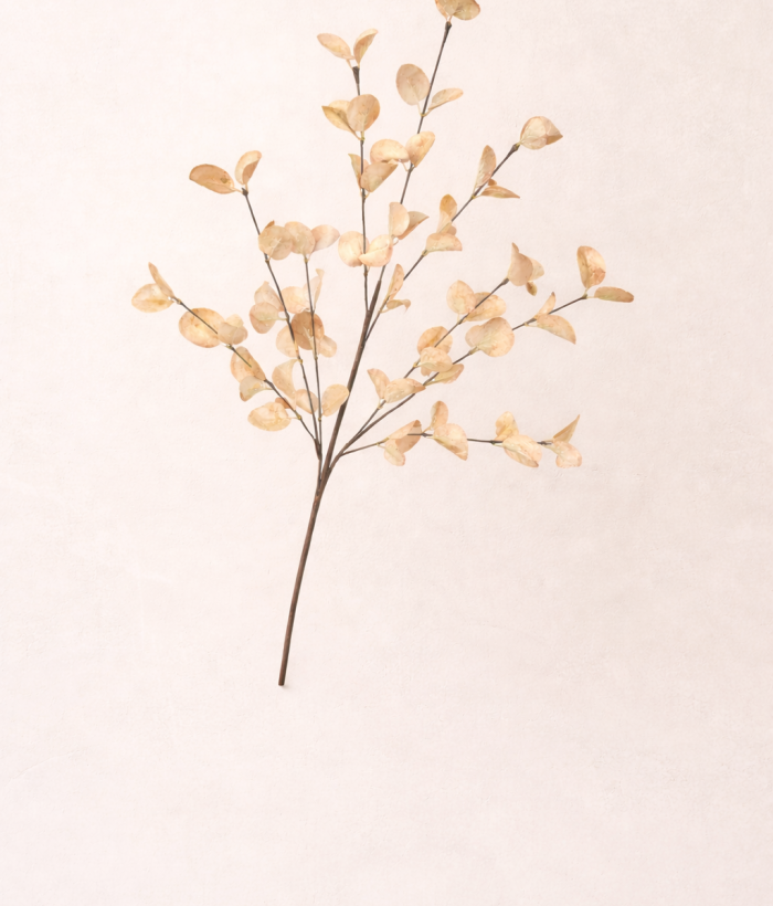 Eucalyptus tak in kaki kleur, 58 cm hoog