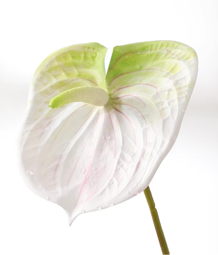 Wit anthuriumblad van kunststof, 63 cm hoog