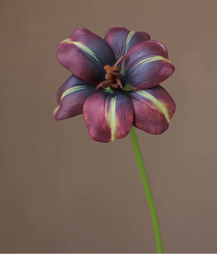 Open tulp kunstbloem in wijnrood, 47 cm hoog