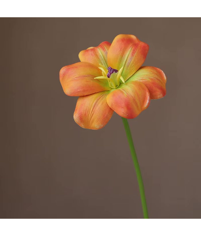Oranje Tulp Open