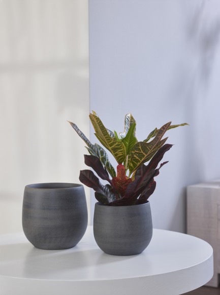 Ter Steege - Pot Esra graphite - D36 H32