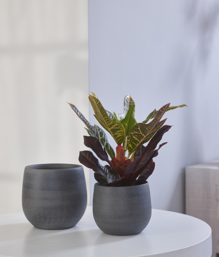 Ter Steege - Pot Esra graphite - D36 H32 Ter Steege - Pot Esra graphite - D36 H32