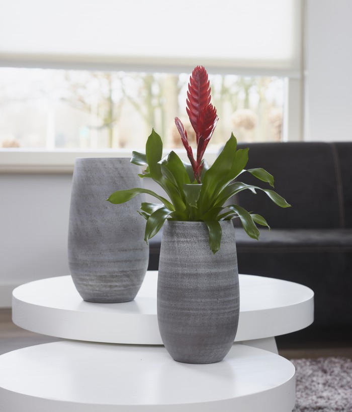 Ter Steege - Pot hoog Esra mystic grey - D20 H35 Ter Steege - Pot hoog Esra mystic grey - D20 H35
